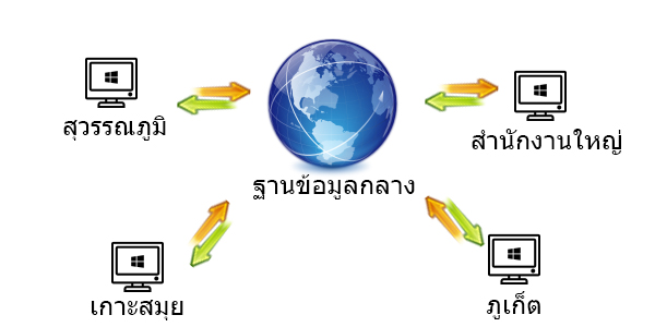 โปรแกรมบริหารงานคลินิก EasyClinic รองรับระบบเน็ตเวิร์ค หรือ ระบบสาขาย่อย